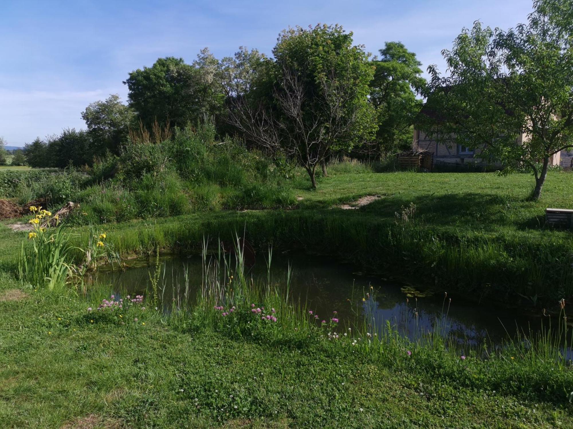 Bed and Breakfast La Ferme De La Terve Bruailles Экстерьер фото