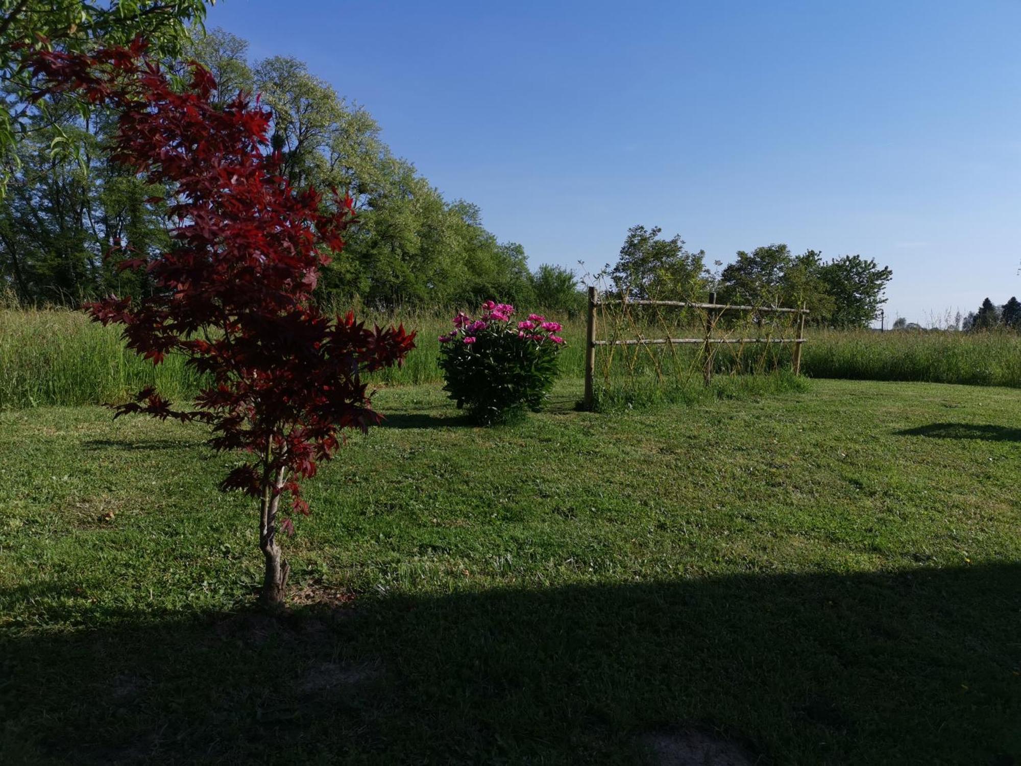 Bed and Breakfast La Ferme De La Terve Bruailles Экстерьер фото
