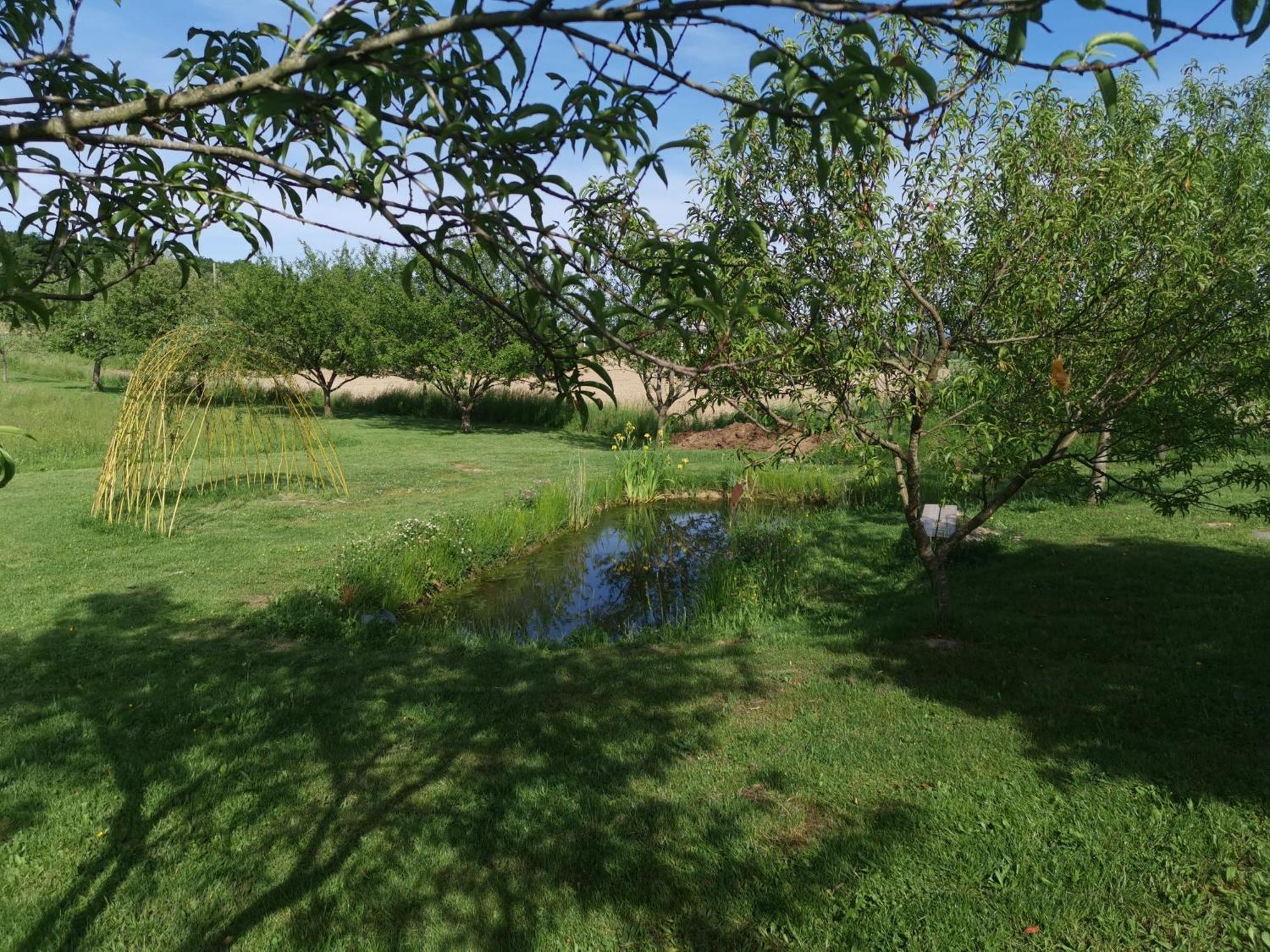 Bed and Breakfast La Ferme De La Terve Bruailles Экстерьер фото